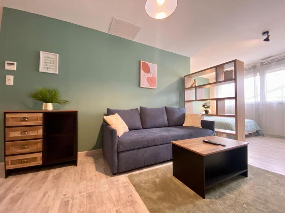 L'Appartement Jebari - Esprit Loft Carcassonne Proche Cite Medieval Et Aeroport Ngoại thất bức ảnh